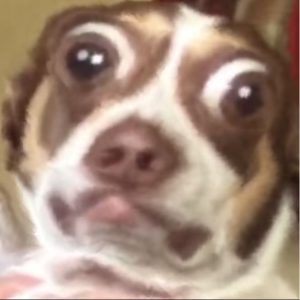Profile picture of FishPaste17